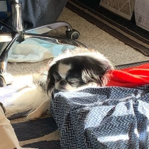 Meet your Posher, Danielle